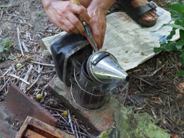 Arı yetiştiricisi arılarla ve arı kovanlarıyla çalışıyor. Arıcılık konsepti. Arı yetiştiricisi arıda bal arıcısı hasat ediyor..