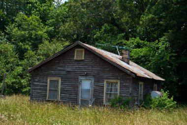 Parlak güneş ışığının altındaki bir ormanda küçük, ahşap bir köy.