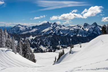 Dağlarda güzel bir kış manzarası var. Adams Dağı uzakta, Washington Eyaleti.