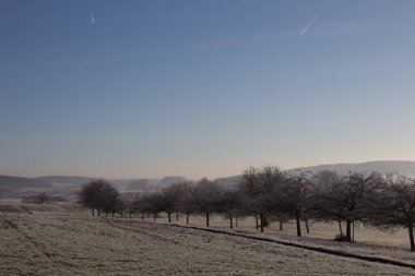 Donmuş tarlalardan ve mavi gökyüzünün altında kuru yapraksız ağaçlardan oluşan bir kış manzarası.