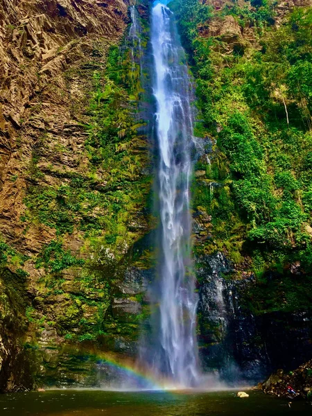 Vertical Shot Wli Waterfall Forest Ghana — Stock Photo, Image
