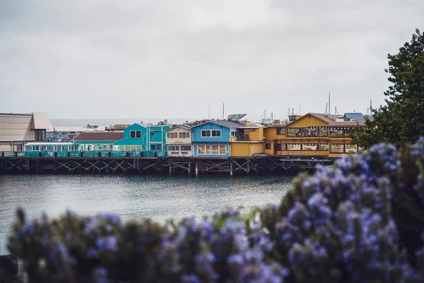 Malowniczy Widok Fasady Kolorowych Budynków Zamazanymi Purpurowymi Kwiatami Monterey Molo — Zdjęcie stockowe