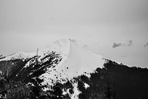 Ένα Γκρι Πλάνο Από Χιονισμένο Βουνό Θέα Τον Σκοτεινό Ουρανό — Φωτογραφία Αρχείου