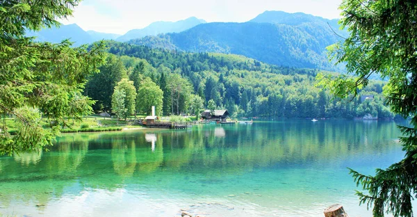 Belle Vue Sur Lac Montagne Avec Réflexion Lac Bohinj Slovénie — Photo