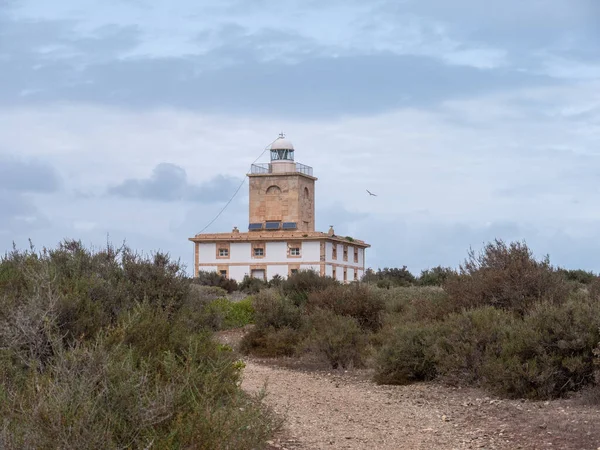 Historický Maják Ostrově Tabarca Alicante Španělsko — Stock fotografie