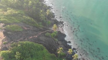 Adanın kıyısındaki güzel mavi sular yeşil bitkilerle kaplıydı.