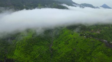 Sisli bir günde yeşil ormanlarla kaplı dağların kuş bakışı görüntüsü.