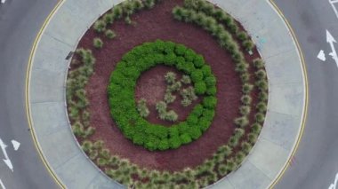 Kasvetli bir günde parktaki çember şeklindeki yeşil dekoratif yoğun çalıların üst görüntüsü.