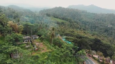 Endonezya 'da Bali' de bir ormanın havadan çekilmiş görüntüsü.