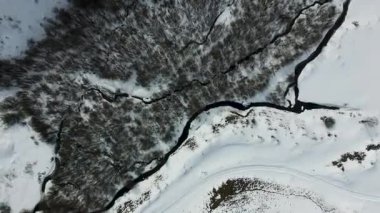Shirak, Ermenistan 'da yapraksız ağaçlarla kaplı karla kaplı dağların büyüleyici manzarası.