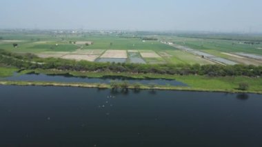 Güneşli bir günde gölü olan yeşil manzaralı güzel bir manzara.