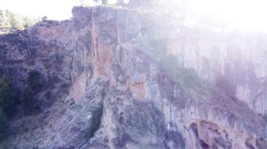 Güneşli bir günde büyük ağaçların olduğu bir uçurum ve ormanın güzel manzarası.