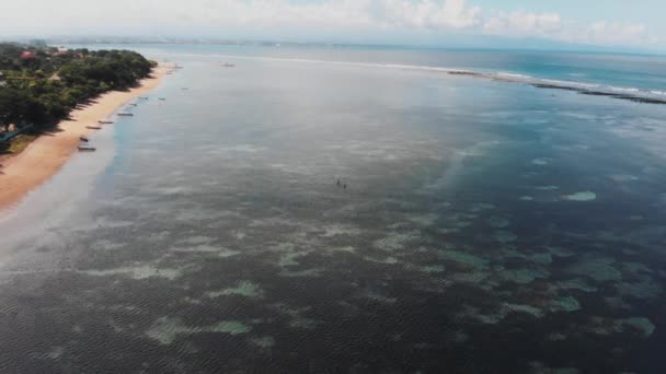 Strand Met Massieve Riff Bali Van Bovenaf Aerial Drone Shot — Stockvideo