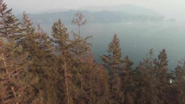 カナダのバンクーバー ディープコーブの松林に対する湖の景色 — ストック動画