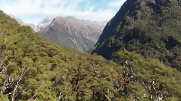Légi Felvétel Fiordland Zéland Hegyeiről Erdeiről — Stock videók