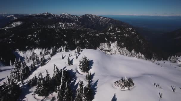 Una Vista Del Dron Sobre Las Montañas Invierno — Vídeos de Stock