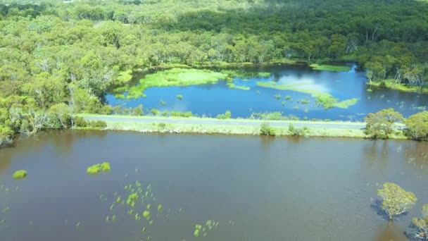 Schöne Aussicht Auf Staudämme Umgeben Von Wald Und Bergen Emmaville — Stockvideo