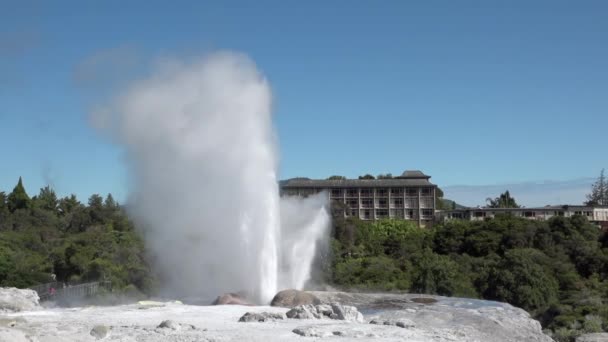 Geysir Whakarewarewa Geothermalfeld Rotorua Neuseelandben Slo Motionban — Stock videók