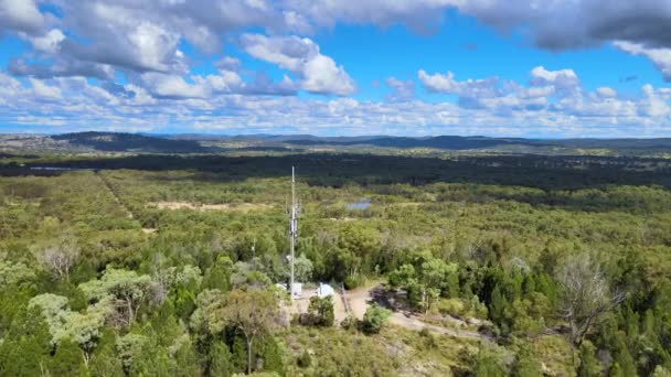 Widok Lotu Ptaka Zielonych Lasów Stawem Środku Pod Słońcem Australia — Wideo stockowe