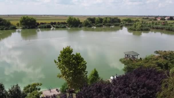 Una Vista Los Pájaros Tiro Pequeño Estanque Campo Los Árboles — Vídeos de Stock