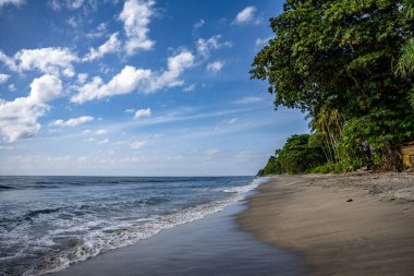 Parlak bir gökyüzünün altında ağaçlarla dolu bir sahilin uzun pozu.
