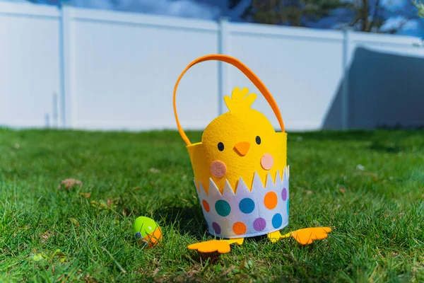 Closeup Hatched Chick Easter Basket Lawn — Stock Photo, Image