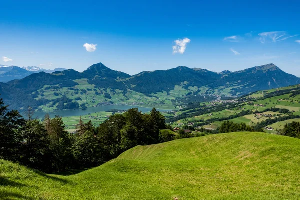 스위스 텔에서 나무들 잔디밭으로 뒤덮인 언덕들의 — 스톡 사진