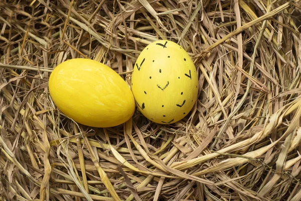 Een Oppere Bezichtiging Van Kleurrijke Schilderde Eieren Een Nest Voor — Stockfoto