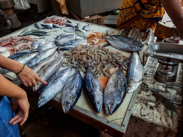 Primer Plano Comercio Mercado Pescado —  Fotos de Stock