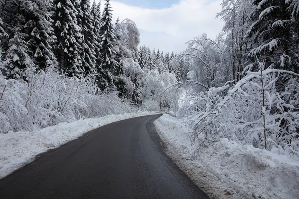 Right Bending Tarmac Road Snow Covered Bavarian Forest Germany Europe — Stock Photo, Image