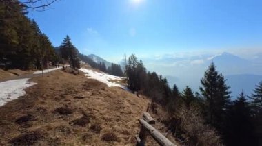 İsviçre 'nin Rigi Kulm kentindeki orman ağaçları ve dağların havadan görünüşü