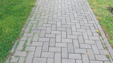 Parcul Uzinei, Timisoara, Romanya 'da bir patika