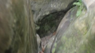 Royal Tunbridge Wells yakınlarındaki eski dağlarda kayaların etrafında yavaş bir hareket