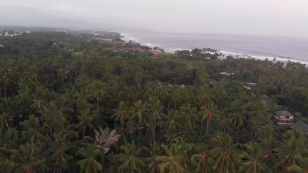 Аэросъемка Джунглей Бали Индонезии — стоковое видео