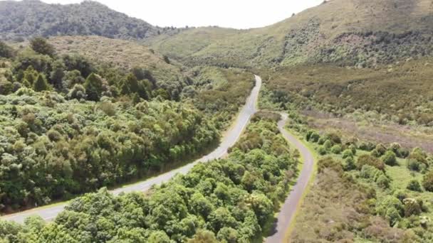 Uma Vista Aérea Uma Estrada Rural Que Estende Por Densas — Vídeo de Stock