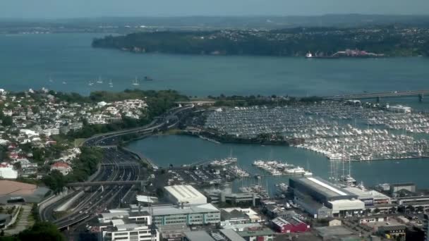 Blick Vom Fernsehturm Sky Tower Auckland Auf Den Yachthafen — Stock Video