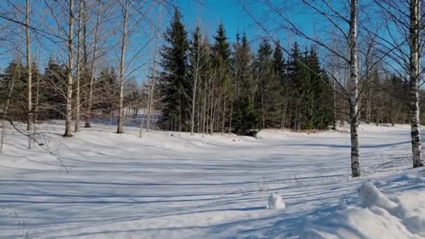 フィンランドの雪道の隣にある凍ったケラバンジョキ川と裸の木 — ストック動画