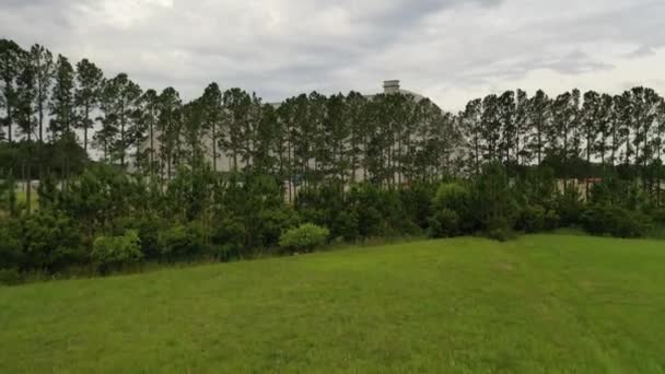 File Alberi Verdi Cespugli Densi Nel Campo Verde Contro Cielo — Video Stock