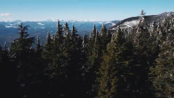 Una Vista Pájaro Montañas Nevadas Cubiertas Bosques Pinos Verdes Día — Vídeos de Stock