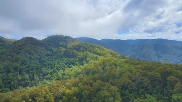 Μια Εναέρια Άποψη Του Πράσινου Πυκνά Δάση Στο Γιβραλτάρ Range — Αρχείο Βίντεο