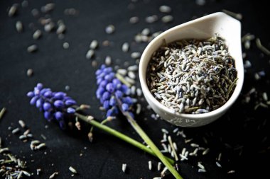 Siyah arkaplanda Lavanta