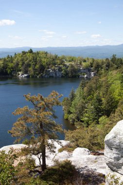 New York 'ta güzel bir göl ve ağaç manzarası.