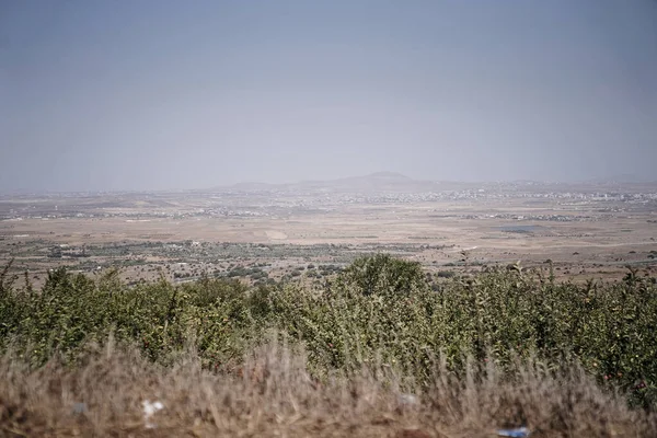 이스라엘 시리아 국경에 과들의 — 스톡 사진