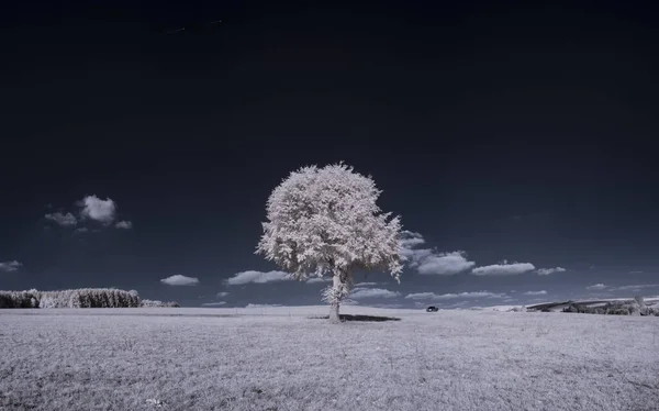 Eine Landschaft Mit Schneebedeckten Bäumen Unter Wolken — Stockfoto