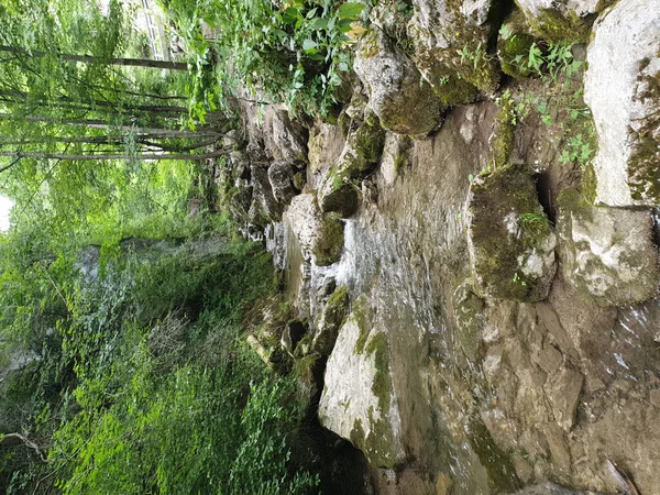 Ruisseau Peu Profond Qui Coule Travers Des Arbres Verts Luxuriants — Photo