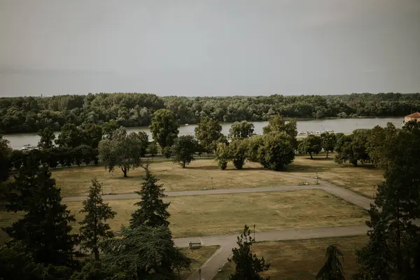 Una Vista Naturale Della Foresta Del Lago Campagna Sotto Cielo — Foto Stock