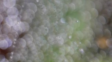 Su damlacıkları parlak bokeh arka planlı bir örümcek ağına düşer.