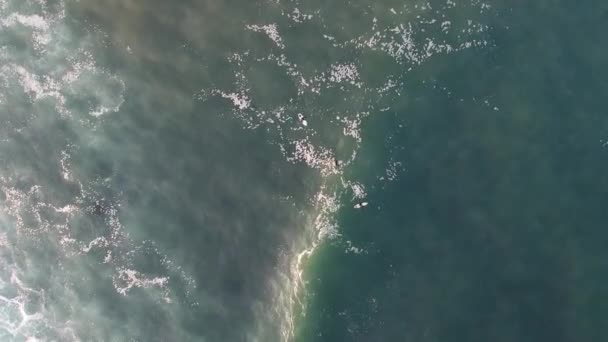 Uma Filmagem Drones Surfistas Circulando Torno Surfe Nova Inglaterra — Vídeo de Stock