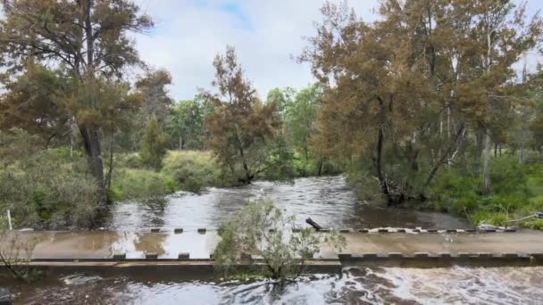 Ein Schöner Blick Auf Den Seven River Strathbogie Nsw Australien — Stockvideo