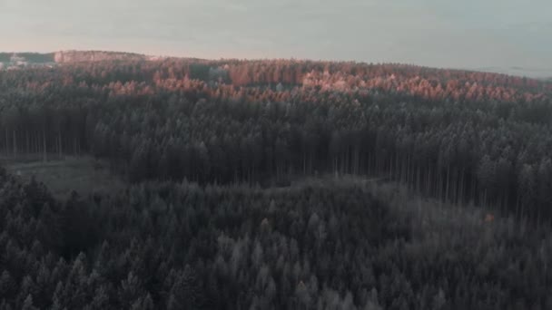 Ett Flygdrönarfoto Den Frankiska Skogen Norra Bayern Tyskland — Stockvideo